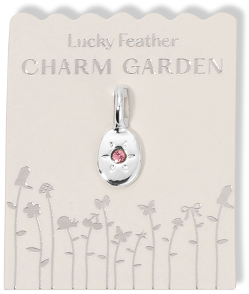 A silver charm with a pink gemstone hangs on a "Lucky Feather Charm Garden" card.