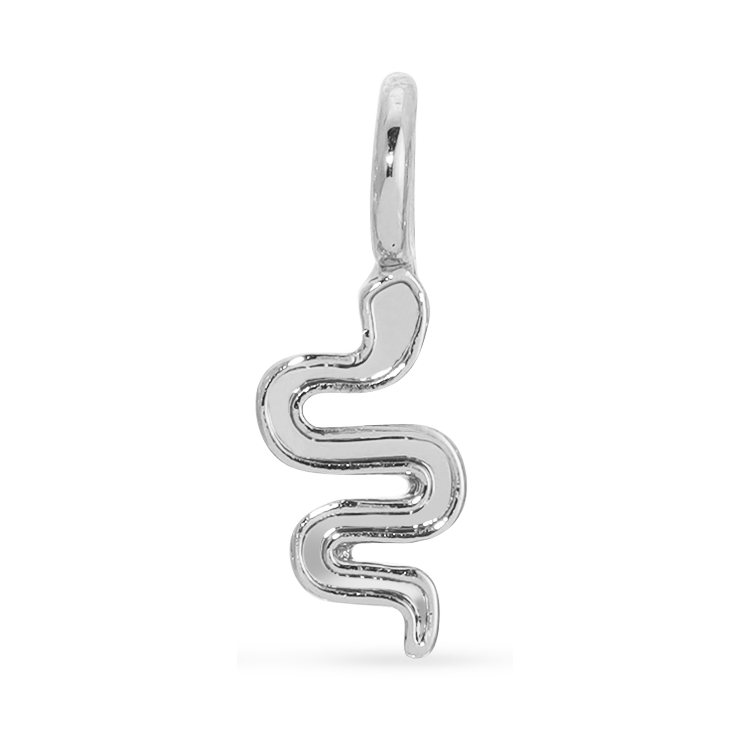 A silver charm in the shape of a stylized snake hangs in front of a white and black background.