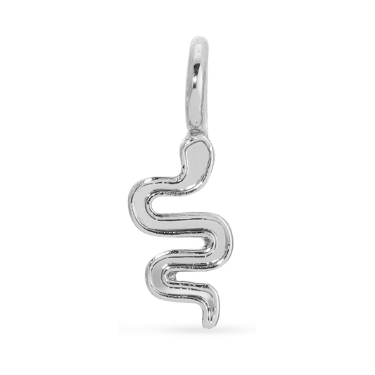 A silver charm in the shape of a stylized snake hangs in front of a white and black background.