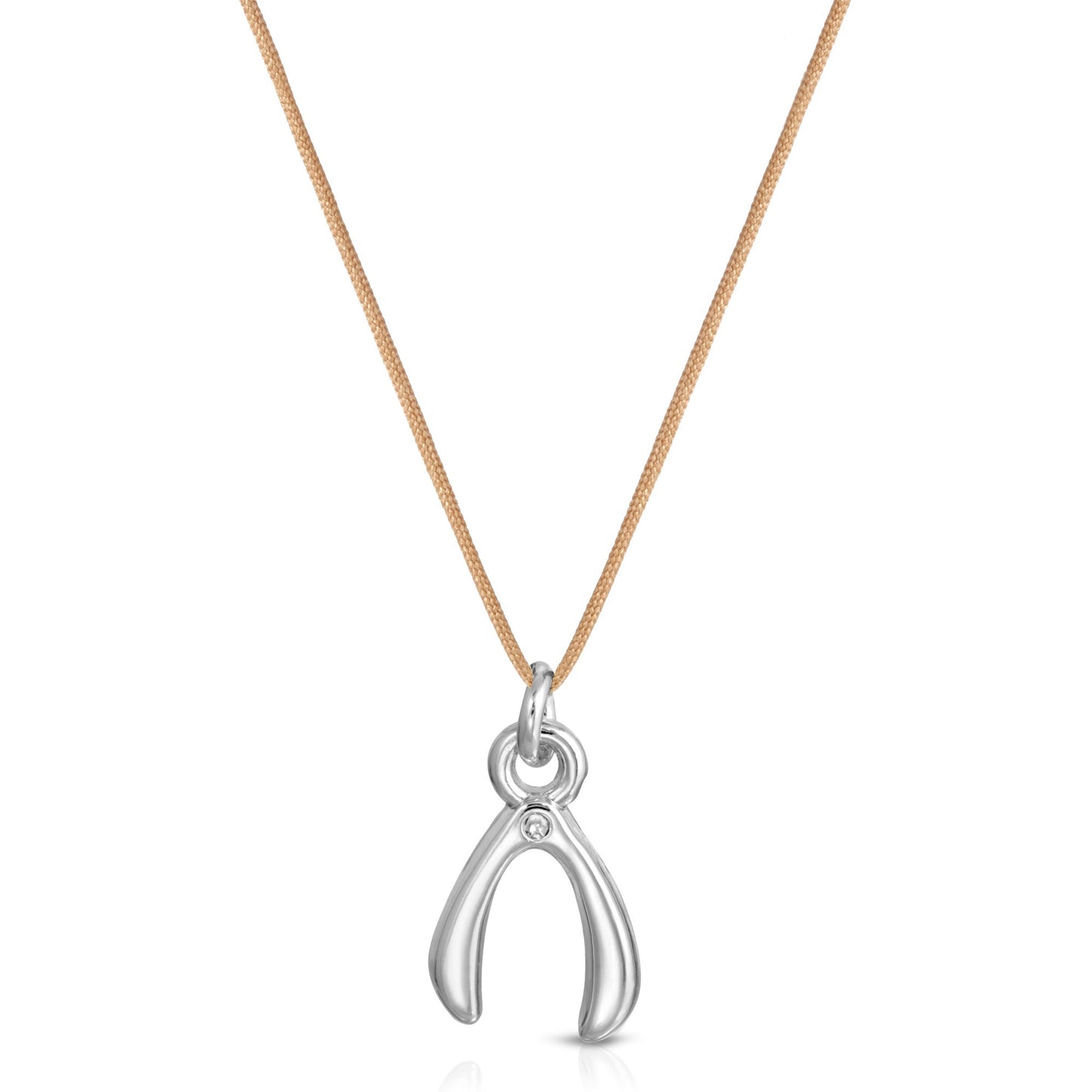 A Wish For You - Silver Wishbone Necklace