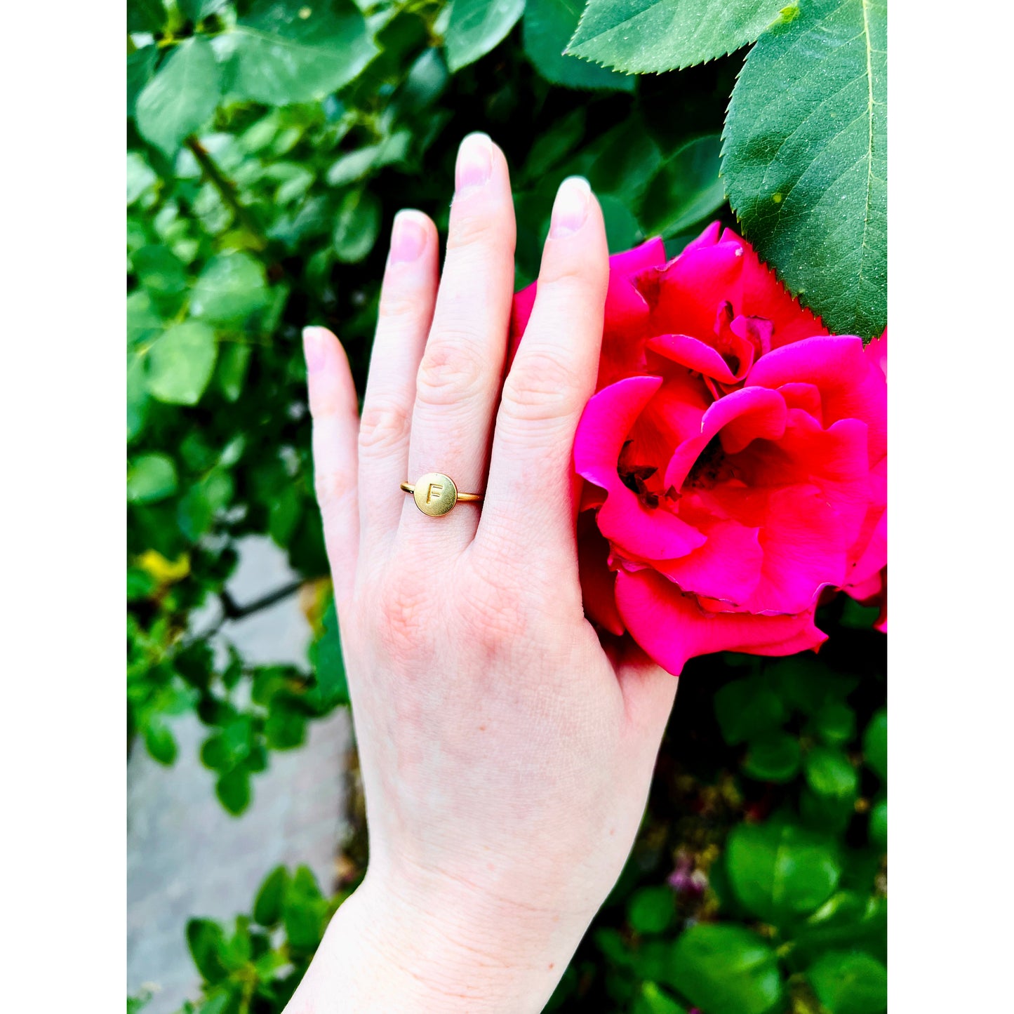 A hand with a gold ring bearing the letter "F" is touching a bright pink rose against a background of green leaves.