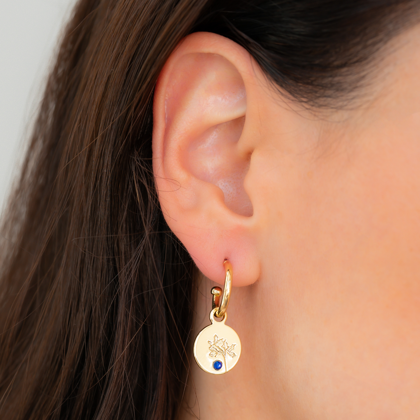 December - Holly/Blue Zircon