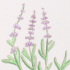 Flowers of Adventure (Lavender)