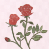 Flowers of Love (Rose)