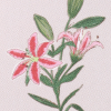 Flowers of Prosperity (Lily)